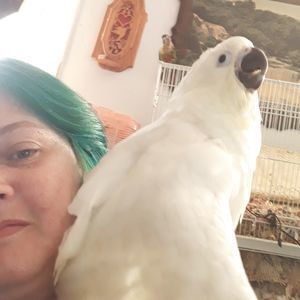 Meet your Posher, Julia